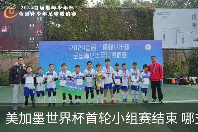 美加墨世界杯首轮小组赛结束 哪支球队最令人失望？